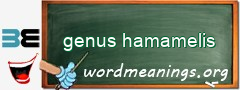 WordMeaning blackboard for genus hamamelis